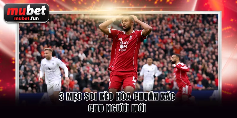 3 mẹo soi kèo hòa chuẩn xác cho người mới